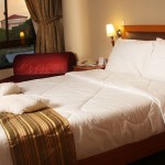 deluxe_room_pic_1