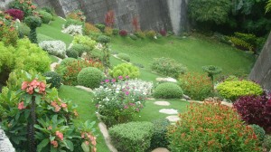 Cebu Taoist Garden Lanscape