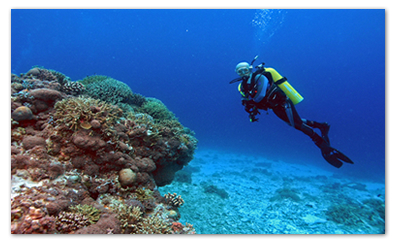 Kansantik Diving Island