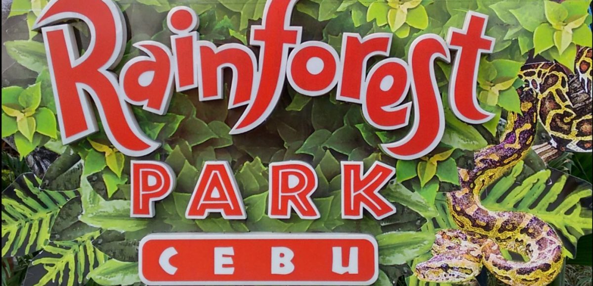 Cebu Rainforest