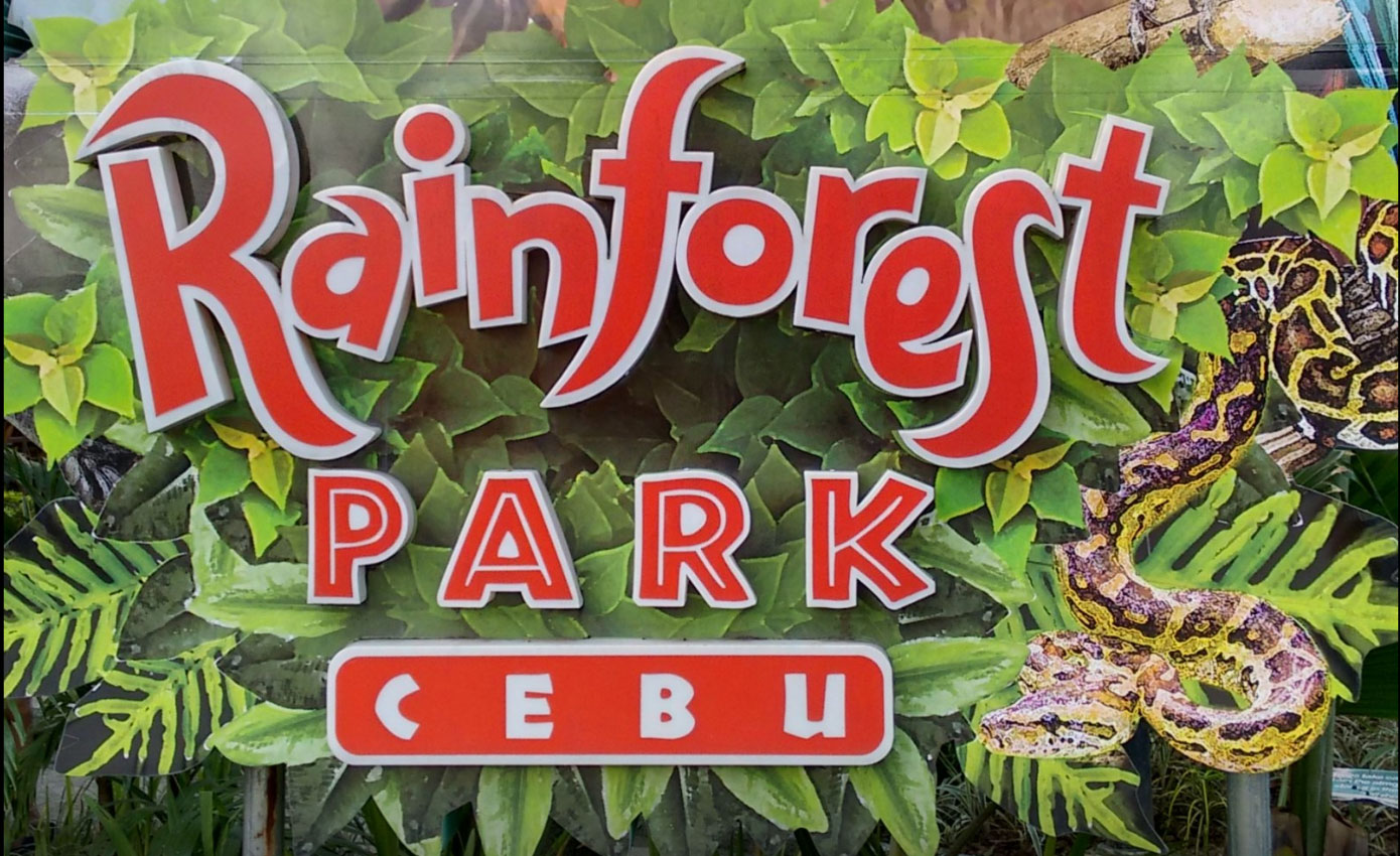 Cebu Rainforest